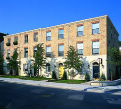 Stafford Terrace
