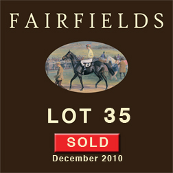 Lot 35